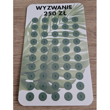 Wyzwanie Oszczędnościowe 250 zł