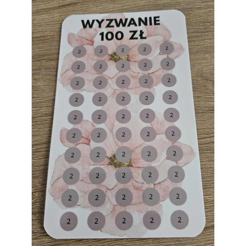 Wyzwanie Oszczędnościowe 100 zł