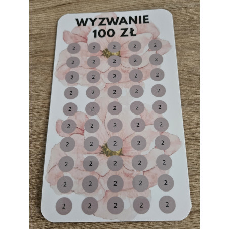 Wyzwanie Oszczędnościowe 100 zł