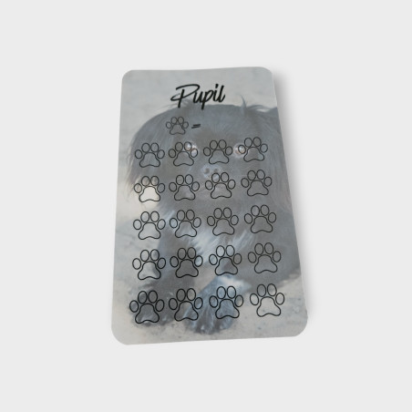 Wyzwanie Oszczędnościowe: PUPIL