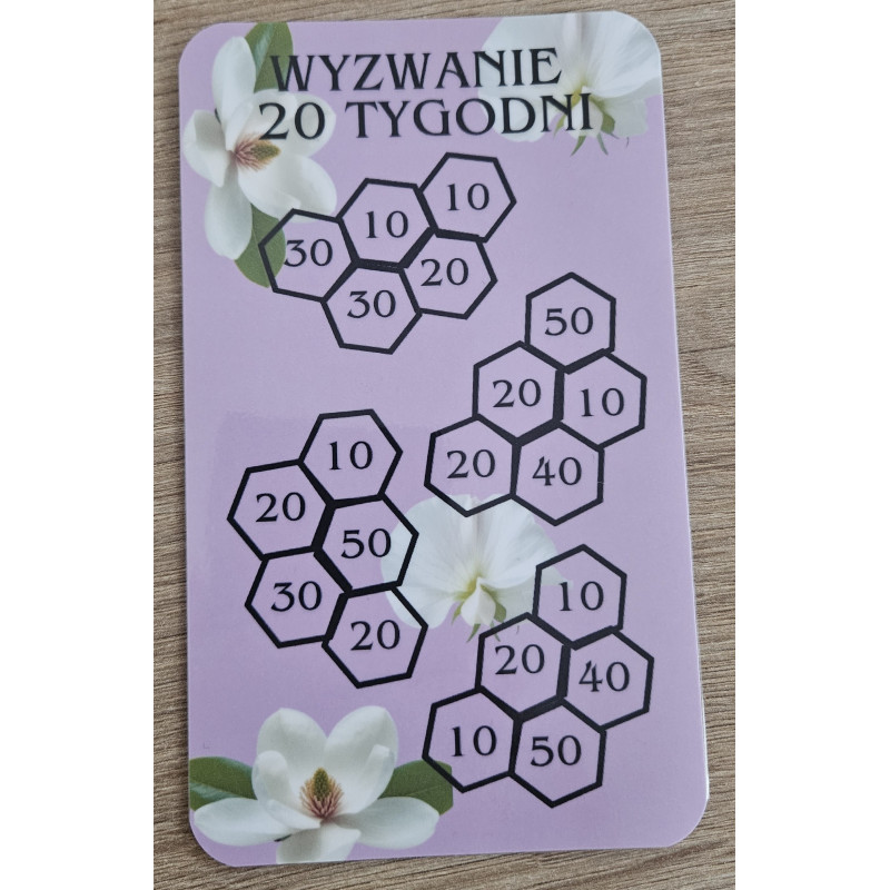 Karta Wyzwanie Oszczędnościowe – 20 TYGODNI
