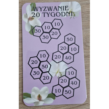 Karta Wyzwanie Oszczędnościowe – 20 TYGODNI